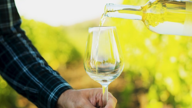 ブドウ園の背景にグラスに白ワインを注ぐ。スローモーション映像。