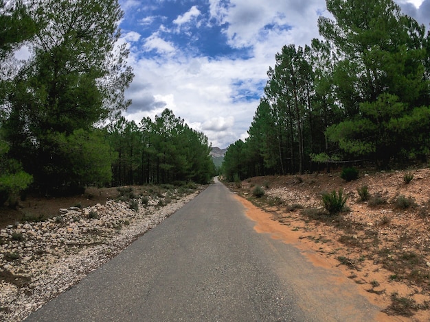 POV driving a car on a lonely old curve road through a mediterranean pine wood in Albacete, Spain, between a cliff and a rock wall. Drive on Nerpio's road at south Europe