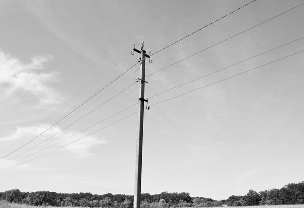 Power electric pole with line wire on light background close up photography consisting of power electric pole with line wire under sky line wire in power electric pole for residential buildings