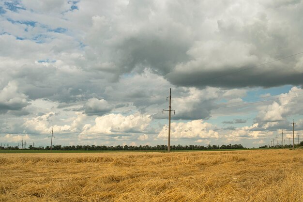 Power line against the backdrop of a wheat field and dramatic sky landscape of Ukraine