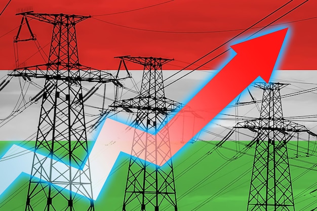 電力線とハンガリー エネルギー危機の旗 世界的なエネルギー危機の概念