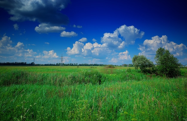 Power line on summer field landscape background