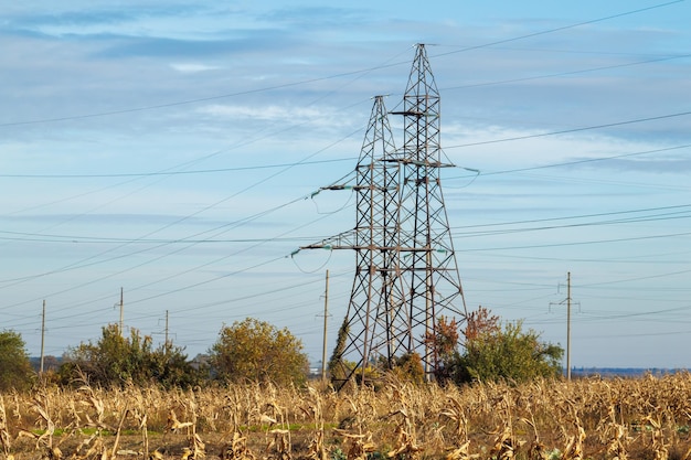 Power line supports in a corn field against a blue sky with clouds