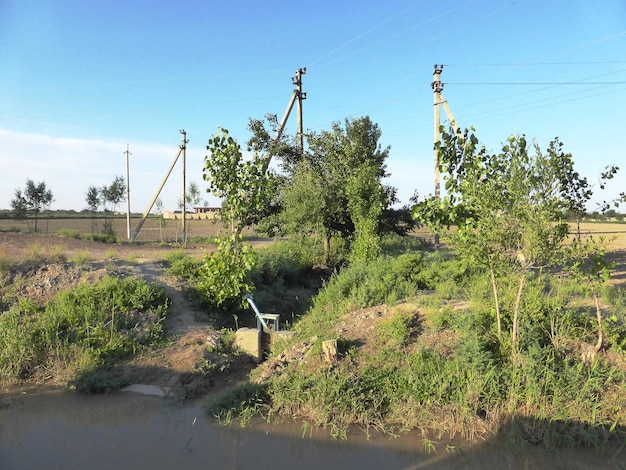 Power lines and fields in the distance