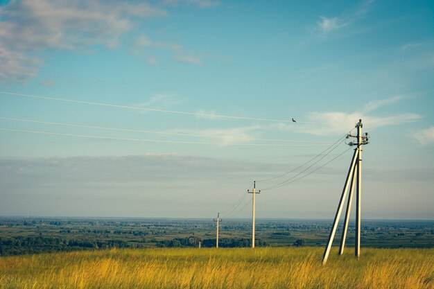 Power lines pass through green and yellow fields. Electric pillars in field under blue sky. High voltage wires in sky.