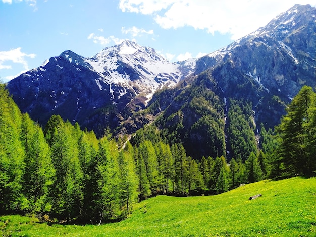 Foto il potere della natura