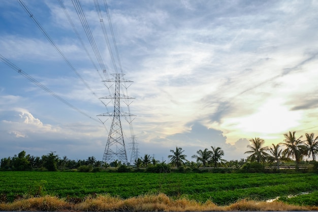 Power transmission Electrical line on blue sky