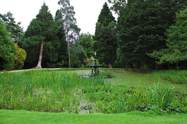 Powerscourt Gardens and House Dublin Ireland