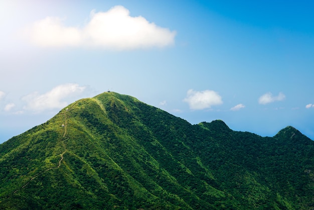 Prachtig bergboslandschap in Taiwan. Verhoogde weergave van schoonheid natuur landschap met groene bergen en blauwe lucht op de dag van de zomer. Scenic van reis Azië.