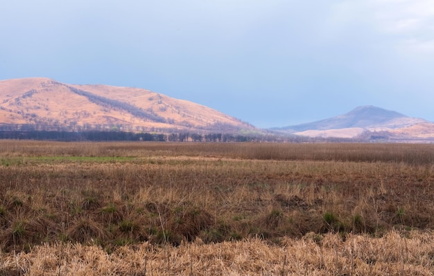 Prachtig bergland met bos Schilderachtig uitzicht op de eindeloze uitgestrektheid van heuvelachtig terrein en een grote bergketen aan de horizon