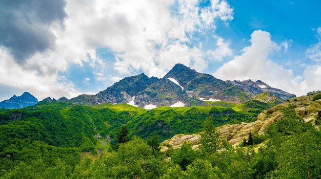 Prachtig berglandschap in bosrijke omgeving in de zomer Machtige bergen met sneeuw en groen bij bewolkt weer