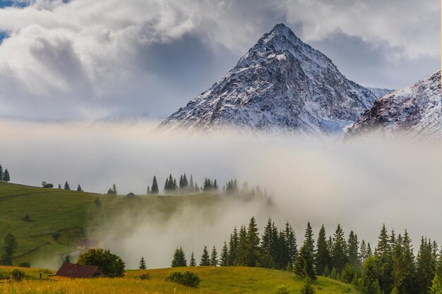 Prachtig berglandschap in de mistige zonsopgang Alpen Oostenrijk