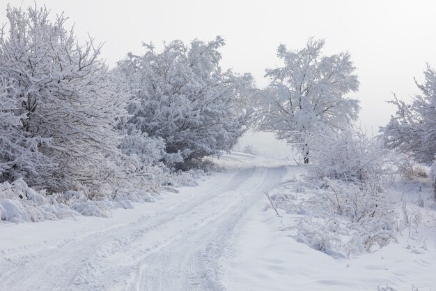 prachtig berglandschap met besneeuwde weg