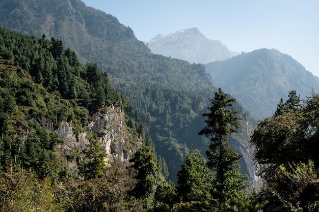 Prachtig berglandschap met naaldbossen en besneeuwde toppen in Nepal