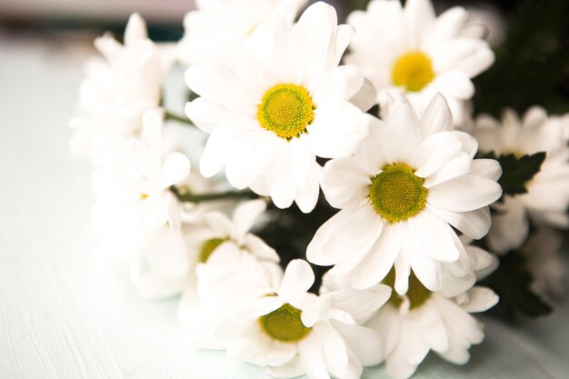 prachtig boeket witte chrysanthemums close-up