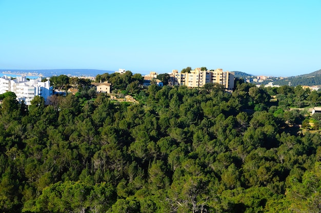 Prachtig bos en huizen in Barcelona