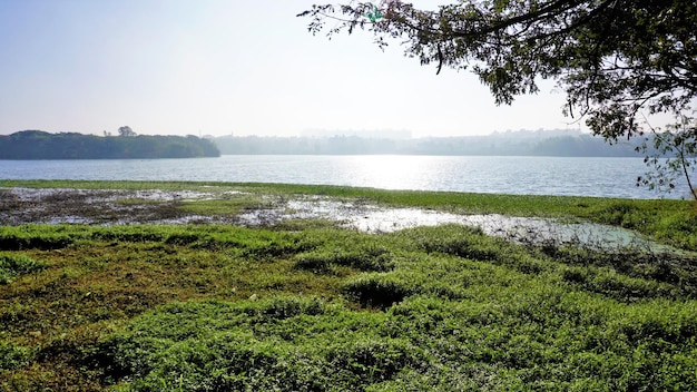 Prachtig BTM of Madiwala-meer van Bangalore in de ochtend met heldere lucht Beste plek voor ontspanning voor Bengalen