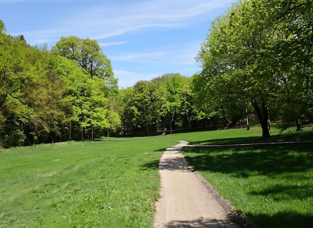 Prachtig groen park en bloemen tussen een pad