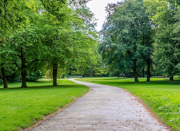 Prachtig groen park en bloemen tussen een pad