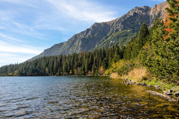 Prachtig herfstberglandschap met een meer en een bos aan de voet van rotsachtige bergen tegen de blauwe lucht