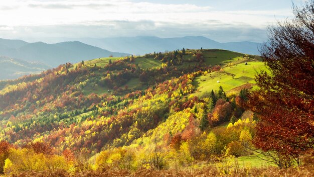 Prachtig herfstlandschap met prachtige blauwe lucht en majestueuze wolken Bos zonsondergang mooie herfst seizoen bos berg zonsondergang oranje kleuren spiritualiteit inspiratie vakantie concept