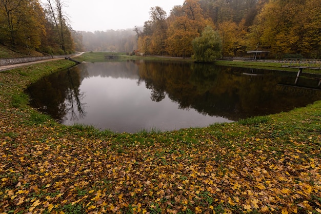 prachtig herfstpark bij mistweer