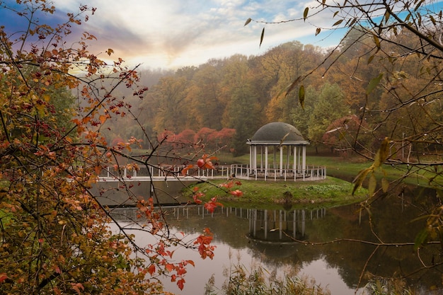 prachtig herfstpark bij mistweer