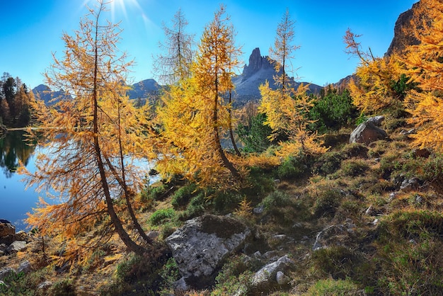 Prachtig herfstzicht op het Federa-meer in de Dolomieten