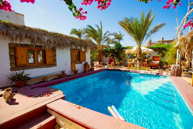 Prachtig huis, villa, resort met zwembad in Dahab, Egypte