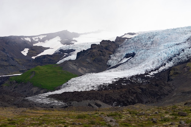 Prachtig IJslands landschap met gletsjer, as en groen gras