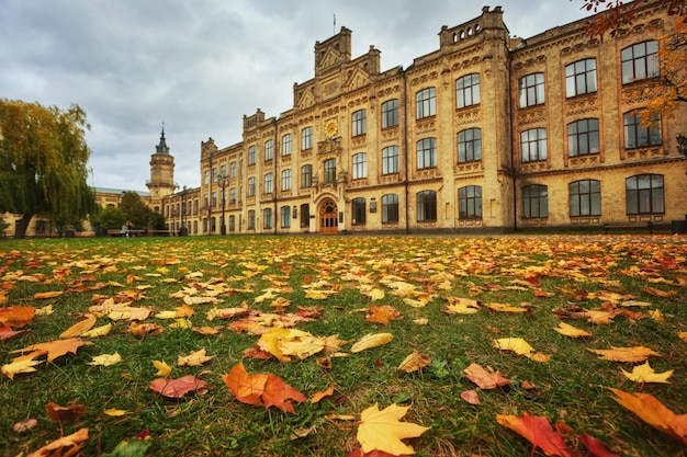 Prachtig kleurrijk herfstpark