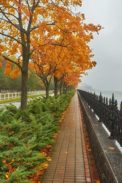 Prachtig kleurrijk herfstpark