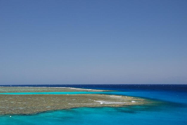 Prachtig koraalrif in de zee in Egypte in de zomer om te duiken