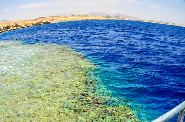 Prachtig koraalrif in de zee onder water Egypte Sharm El Sheikh