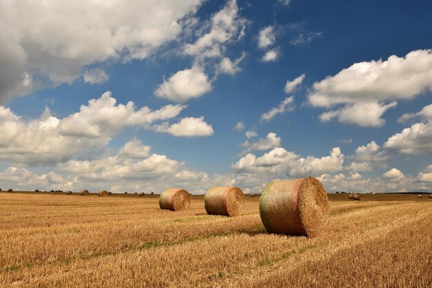 Foto prachtig landelijk landschap hooibalen in geoogste velden tsjechische republiek europa landbouwkundige achtergrond oogst