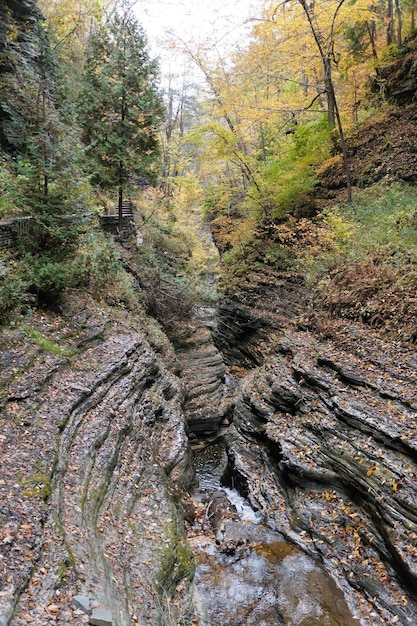 Prachtig landschap en smalle kloof bij Watkins Glens Falls New York VS