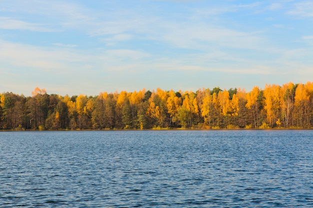 Prachtig landschap. Groot meer in de herfstbos. Herfst natuur