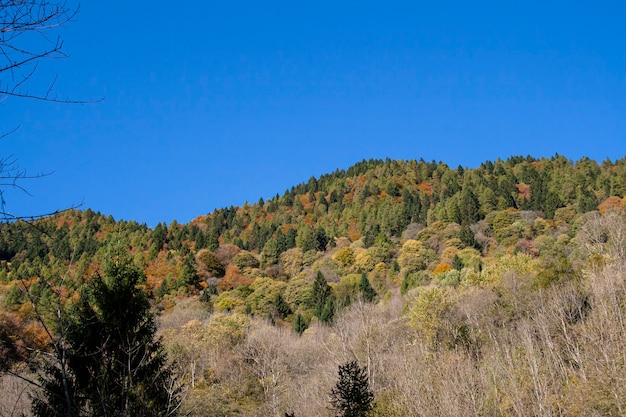 Prachtig landschap in de dolomieten met bergen, meren en natuur