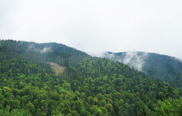 Prachtig landschap in de Karpaten