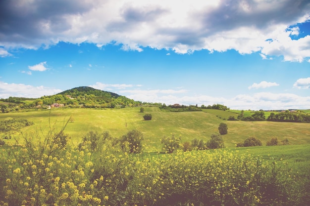 Prachtig landschap lente natuur Uitzicht op zonnige velden op glooiende heuvels in Toscane Italië