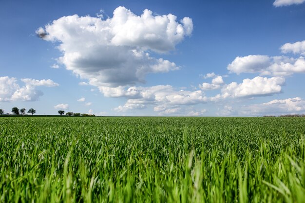 Prachtig landschap met contrasterende wolken en groene velden