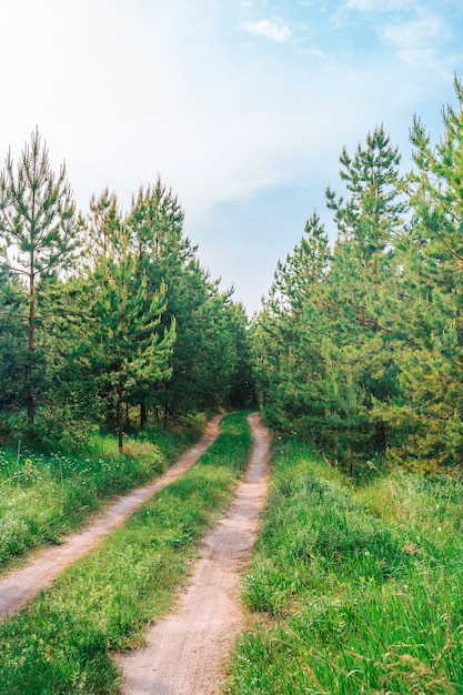 Prachtig landschap met groene weiden