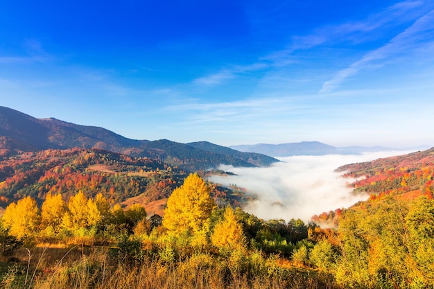 Prachtig landschap met heuvels en bergen