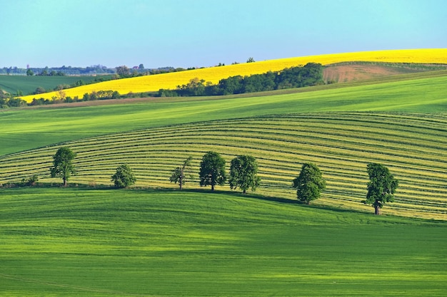 Prachtig landschap met lente natuur Golven op het veld Zuid-Moravië Moravië Toscane Tsjechië Europa