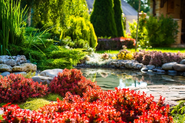 Prachtig landschap met prachtige planten