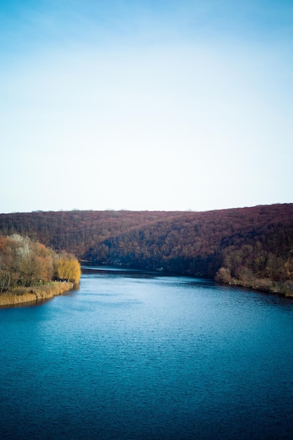 Prachtig landschap met rivierkreeft en bos