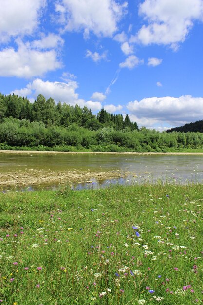 Prachtig landschap met snel water in bergachtige rivier