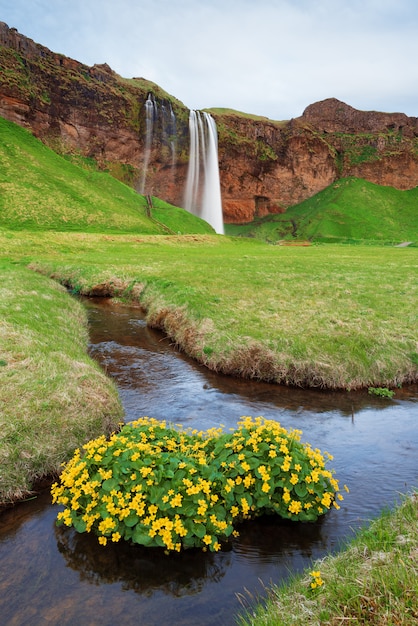 Prachtig landschap met waterval in IJsland