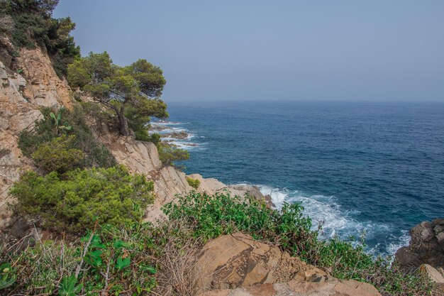 Prachtig landschap rotsachtige kust van de Middellandse Zee Catalonië