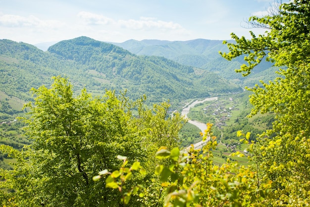 Prachtig landschap van adembenemende bergen met groene bomen en een pad op de achtergrond